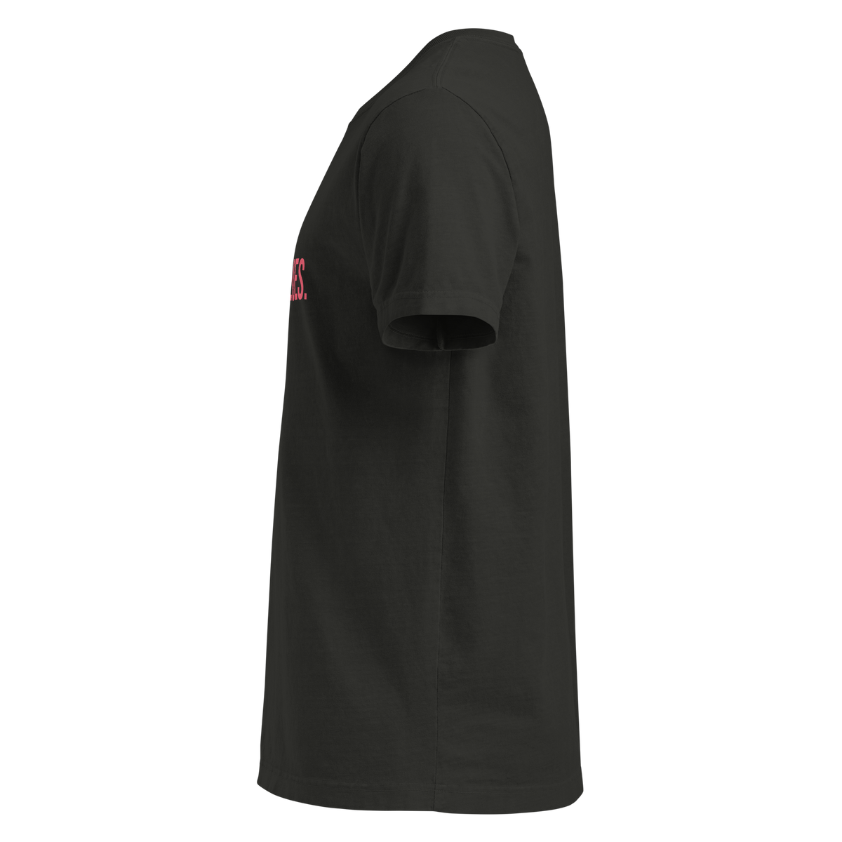 SUCCESS LEAVES CLUES. — Faded Black HOMS Clues tee, left side
